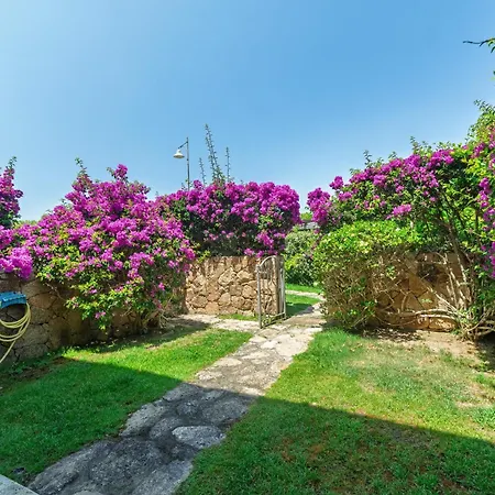 Il Gabbiano Apartamento *