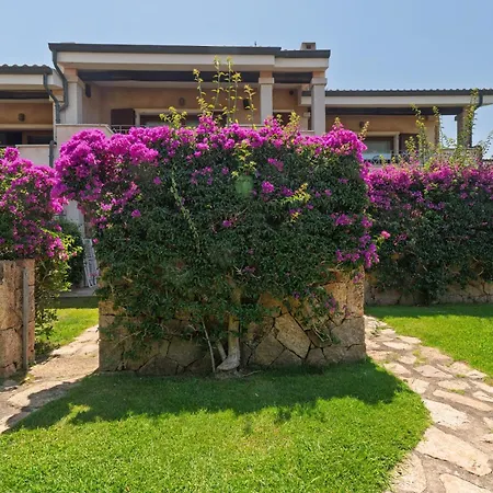 Apartment Il Gabbiano